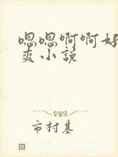 嗯嗯啊啊好大好爽小说