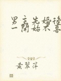 男主先婚后爱,一开始不喜欢女主角