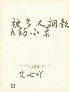 被多人调教失禁h的小柔