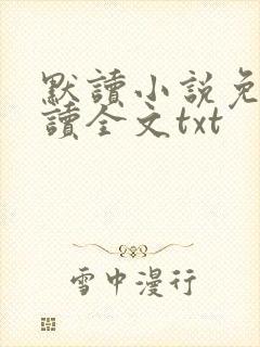 默读小说免费阅读全文txt
