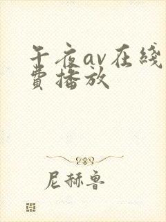 午夜av在线免费播放