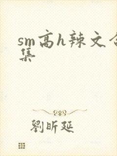 sm高h辣文合集