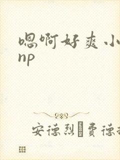 嗯啊好爽小骚货np封面