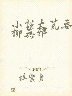 小说大荒吞天诀柳无邪