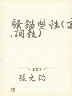 骚猫双性(高h,调教)