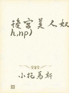 后宫美人奴(高h,np)
