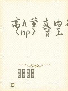 高h荤爽肉欲文〈np〉宝玉