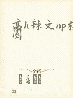 高h辣文np校园