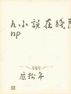h小说在线阅读np