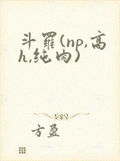 斗罗(np,高h,纯肉)封面