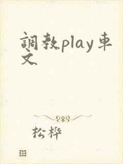 调教play车文封面
