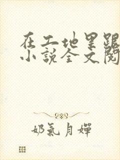 在工地里跟大叔小说全文阅读封面