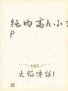 纯肉高h小说np