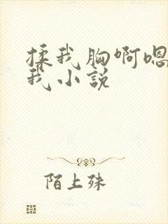 揉我胸啊嗯～c我小说