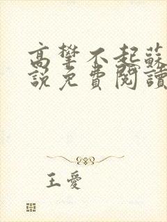 高攀不起苏宇小说免费阅读无弹窗封面