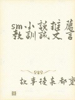 sm小说推荐调教训诫文言情封面