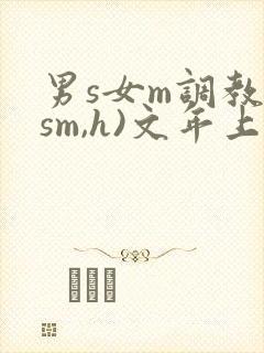 男s女m调教(sm,h)文年上
