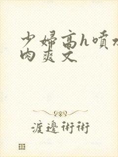 少妇高h喷水荡肉爽文