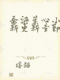 乔梁叶心小说最新更新章节免费阅读