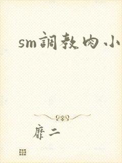 sm调教肉小说封面