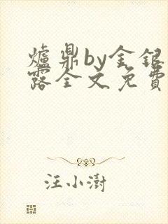 炉鼎by金银花露全文免费阅读笔趣阁