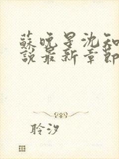 苏晚星沈知言小说最新章节免费阅读