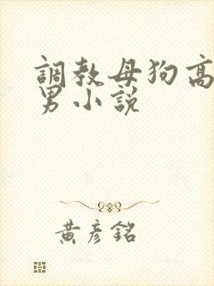 调教母狗高h男男小说