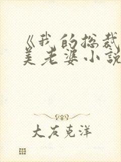 《我的总裁白富美老婆小说》