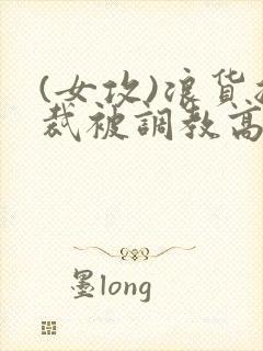 (女攻)浪货总裁被调教高h