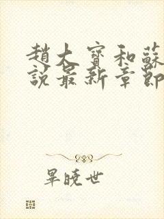 赵大宝和苏媚小说最新章节更新时间