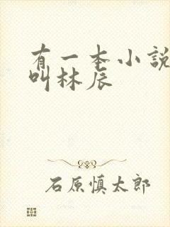 有一本小说主角叫林辰