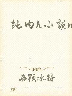 纯肉h小说np封面