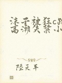 沫子被狂c躁到高潮失禁小说封面