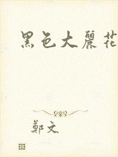 黑色大丽花图片