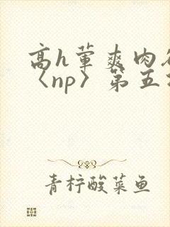 高h荤爽肉欲文〈np〉第五次