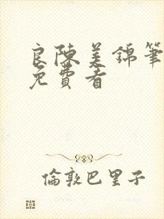 良陈美锦笔趣阁免费看