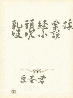 乳头经常揉捏和吸吮小说