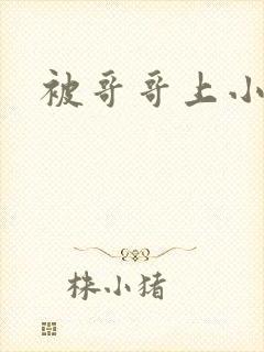 被哥哥上小说