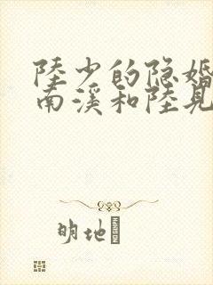 陆少的隐婚罪妻南溪和陆见深