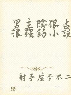 男主阴狠占有欲很强的小说现言封面