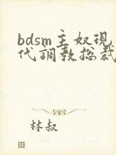 bdsm主奴现代调教总裁文封面