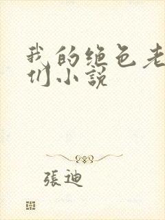 我的绝色老板娘们小说封面