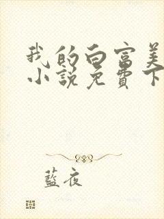 我的白富美老婆小说免费下载封面