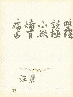 病娇小说双男主占有欲极强囚宠干净