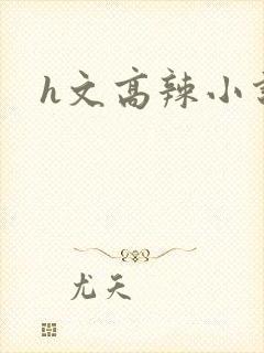 h文高辣小说