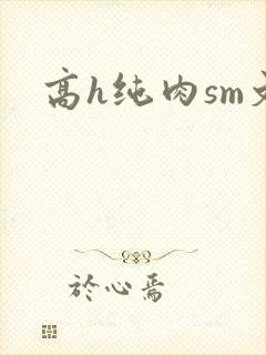 高h纯肉sm文