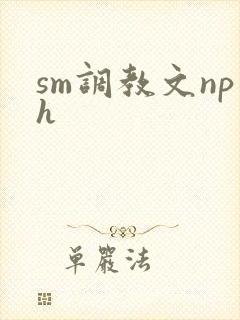 sm调教文nph封面