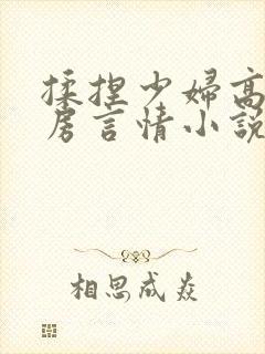 揉捏少妇高耸乳房言情小说