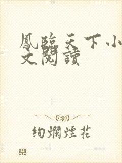 凤临天下小说全文阅读