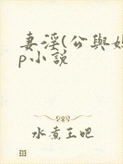 妻淫(公与媳3p小说封面